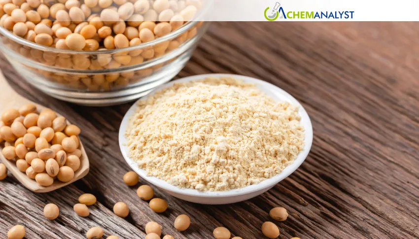 Abundant Soybean Meal Supply Pulls US Prices Down 1.04% in May