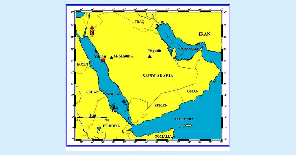 Alujain Advances Contract for Petrochemical Project at Yanbu