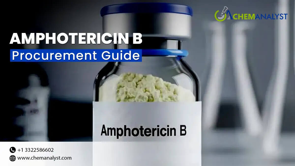 Amphotericin B Procurement Guide