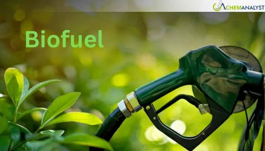 Argentine Government Raises Biofuel Prices for Domestic Market