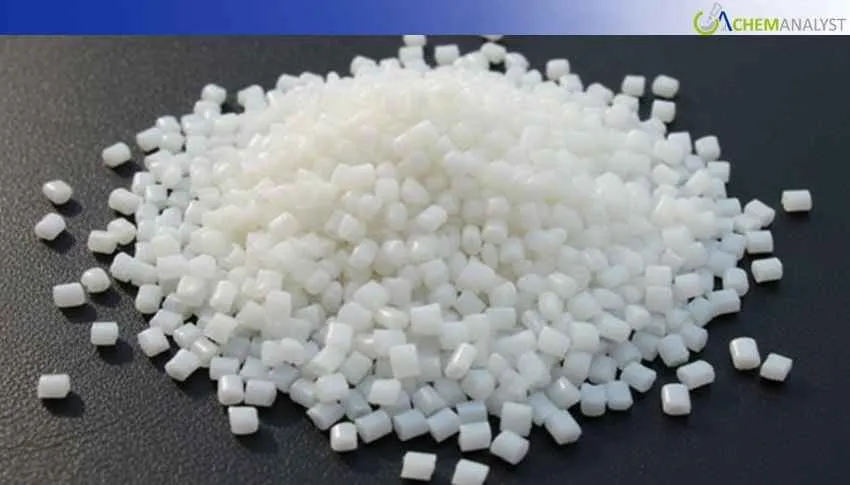 Asian PBR Market Holds Steady in Mid-Jan 2026 Amid Balanced Supply and Cautious Demand