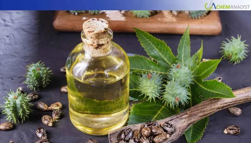 Castor Oil prices ease 2.5% in Feb, Here is What Trend to Expect from March Onward