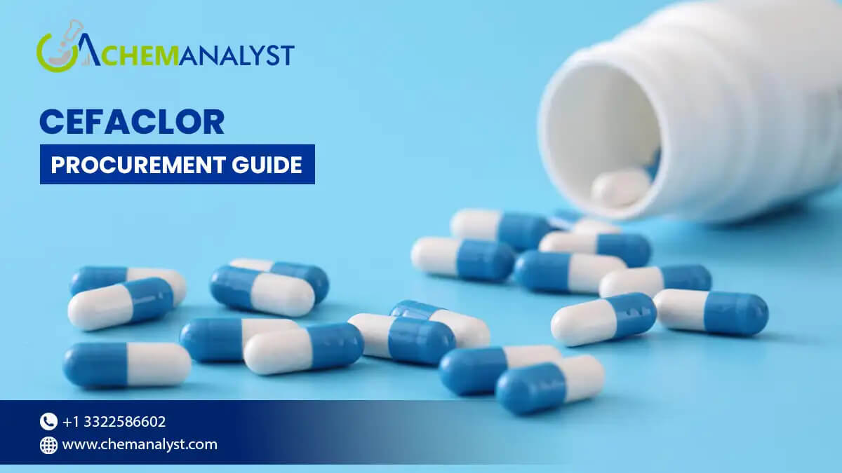Cefaclor Procurement Guide