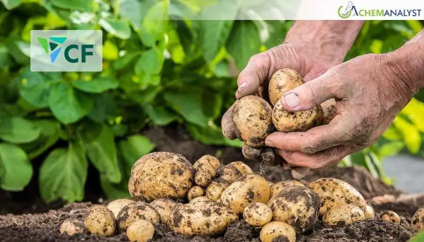CF Industries and PepsiCo Drive Low-Carbon Potato Farming
