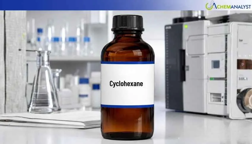 China Cyclohexane Prices Change 0.30% in early May 2026, Geopolitical Risk Premium Persist