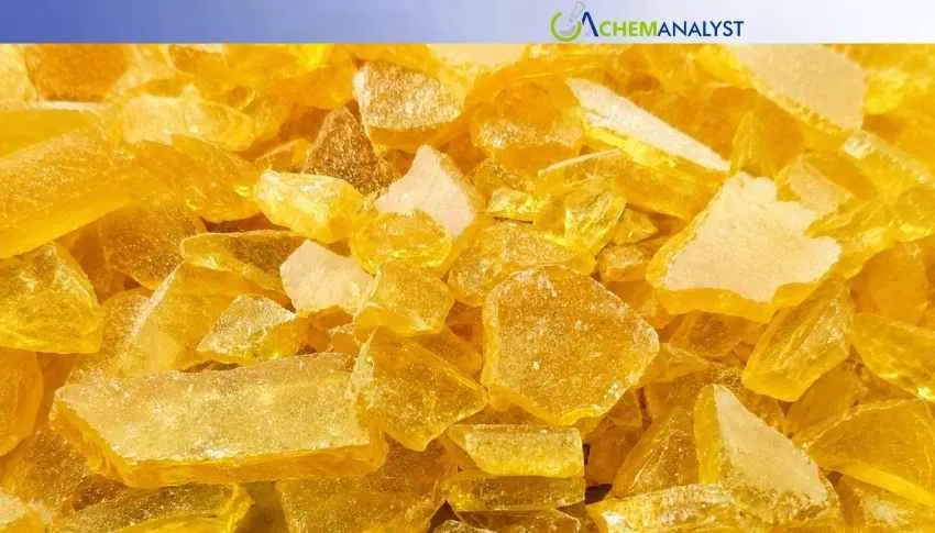 China Gum Rosin Market Stays Firm in Early May Amid Tight Feedstock Supply