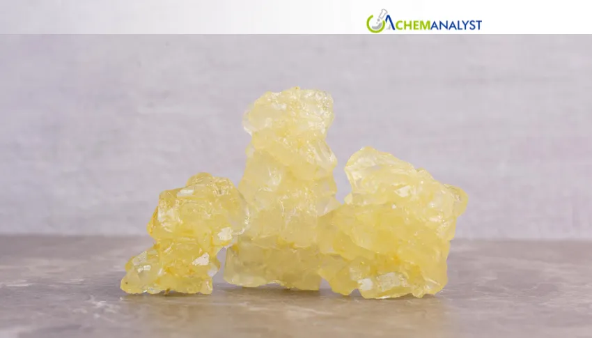 China Gum Rosin Prices Show Modest Growth in July as Exports Strengthen