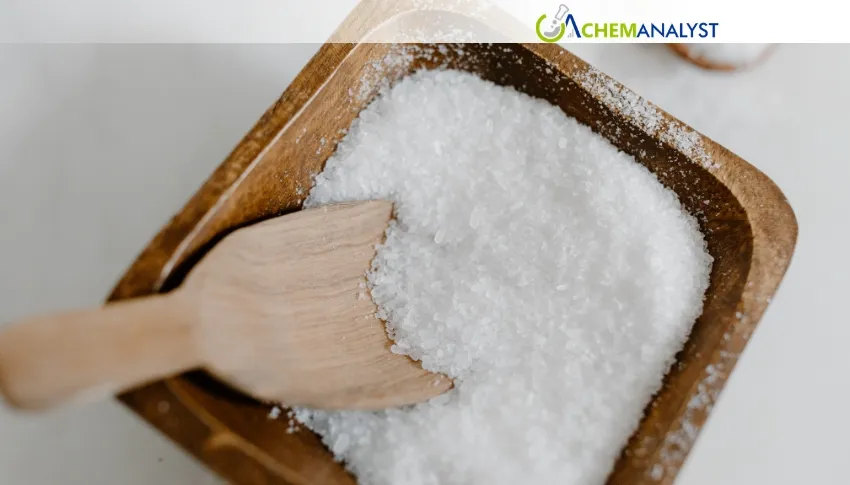 China Nitro Chloro Benzene Market Poised for Further Gains in July