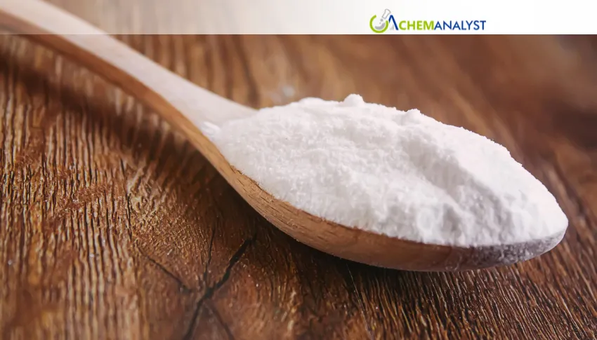 China Nitro Chlorobenzene Market Remains Calm Amid Weak Pharmaceutical Demand