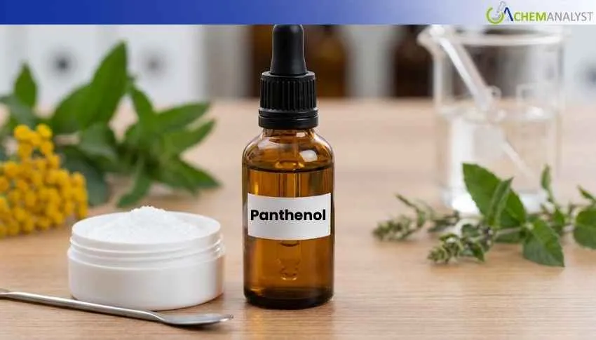 China Panthenol Market Maintains January Strength Following December’s 1% Gain