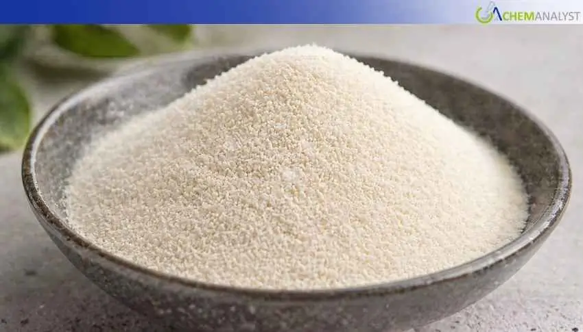 China Para Aminophenol Prices Rise 18.5% MoM Amid War-Driven Feedstock Inflation