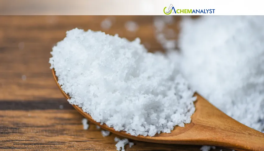 China Sodium Chloride Prices Rise 1.10% in July on Higher Energy Costs and Firm Demand