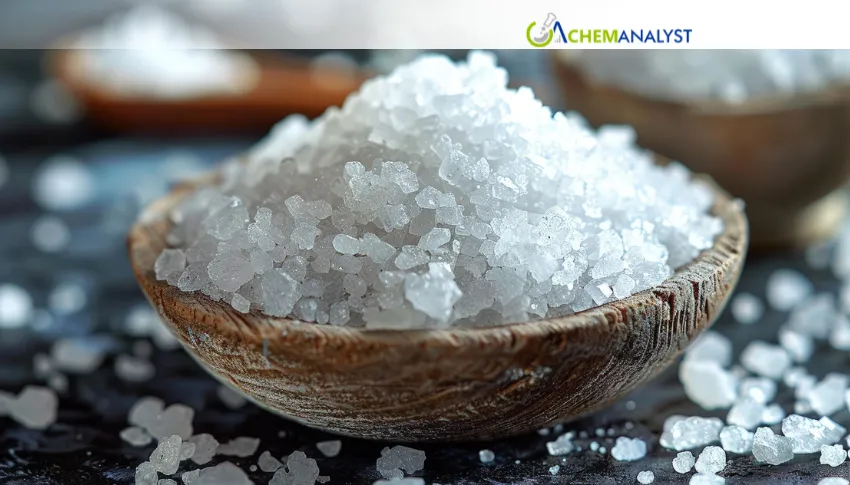 China Sodium Chlorite Prices Seen Softening 2.8% in July as Ample Supply Weighs on Market