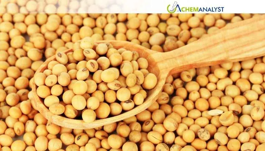 China Soya Lecithin Prices continue uptrend with additional 1.74% Gain Expected in May