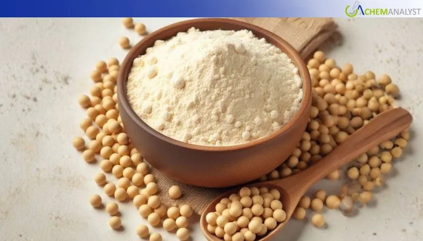 China Soya Lecithin Prices Rise 2.02% in February 2026, Projected to rise Further in March