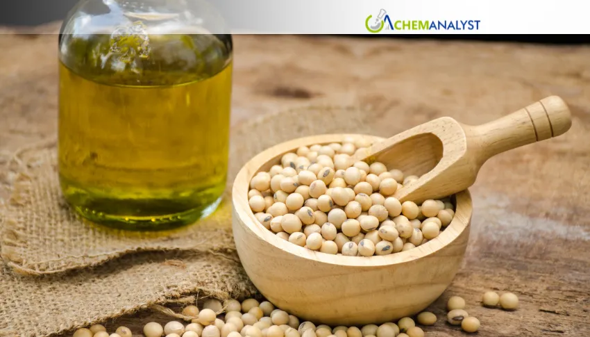 China Soya Lecithin Prices Rise 2.1% in July on Tighter Supply and Firmer Soybean Costs