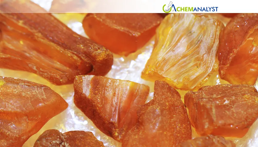 China's Alkyd Resin Prices Remain Under Pressure in H1 June 2026 Amid Ample Supply