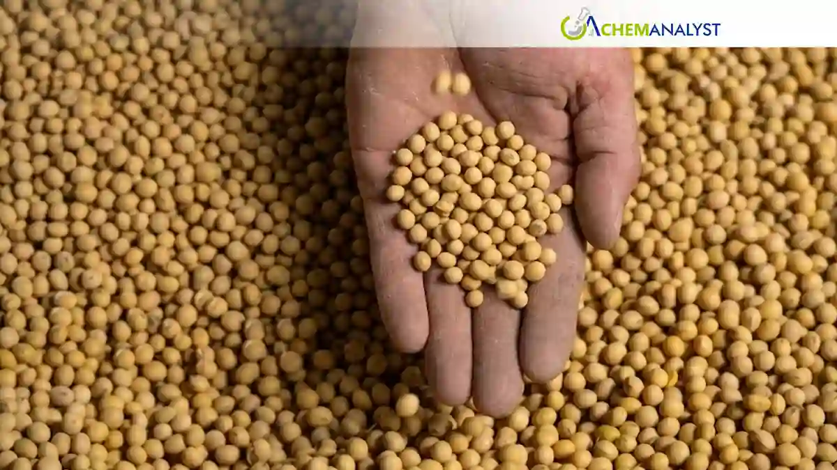 China’s Soybean Buying Spree Sparks Rally in Global Grain Markets