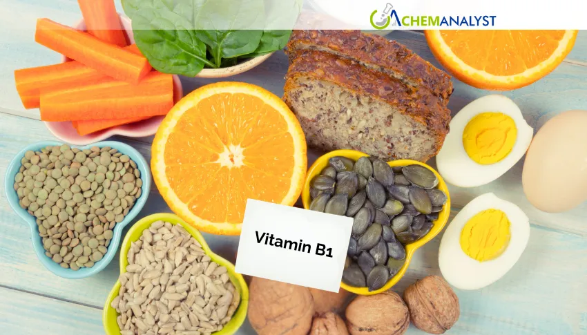 China's Vitamin B1 Market Faces Mild Near-Term Pressure After Strong May Rally