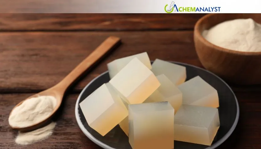 Comfortable Supply and Cautious Demand Shape China Agar-Agar Outlook