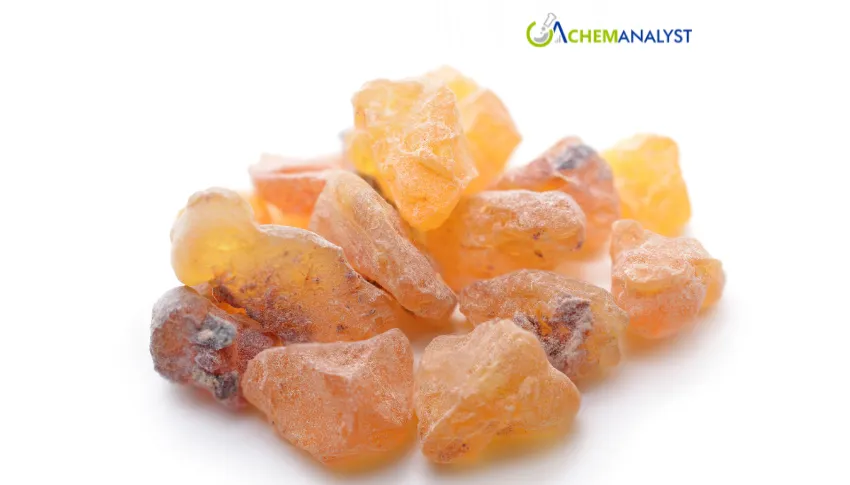 Comfortable Supply and Muted Buying Keep China's Alkyd Resin Prices Low