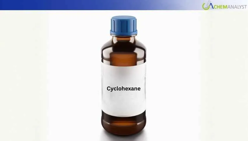 Cost-Push from 3.2% Benzene Gain Lifts China Cyclohexane 0.87% Weekly