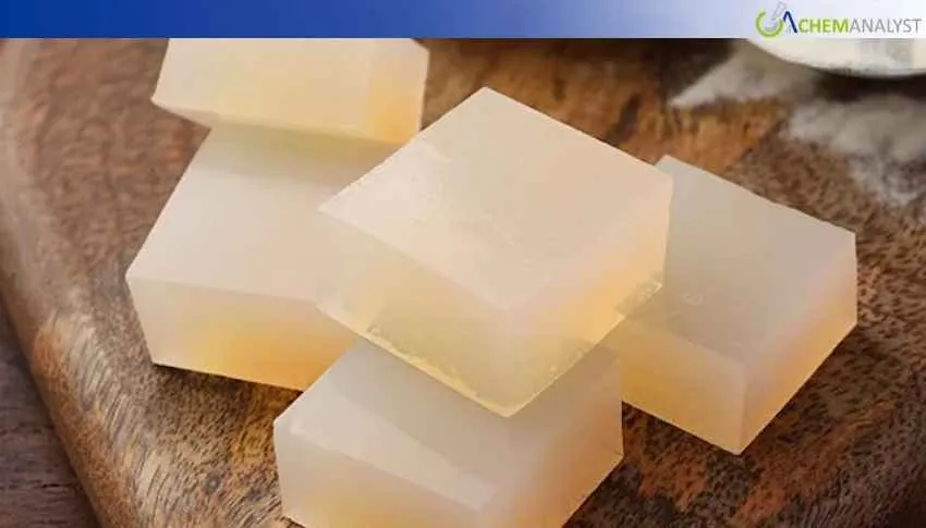 Eased Feedstock Availability Decreased Agar-Agar Prices by 6.72% in January 2026