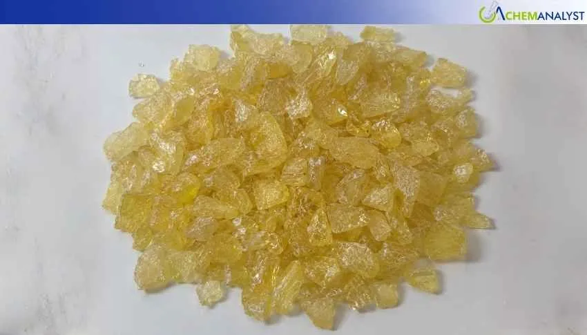 Ester Gum Prices Rise 7.5% in India in April 2026 on Tight Supply and Steady Demand