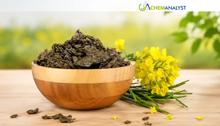 German Rapeseed Meal Exports Slump as Soybean Competition and Weak Crushing Activity Weigh on Market
