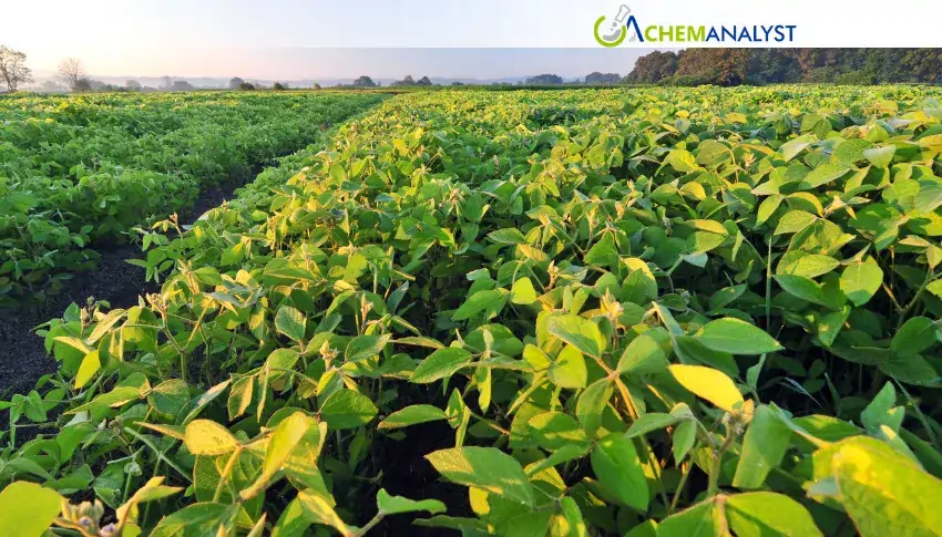 Germany Eyes Record Soybean Harvest in 2026