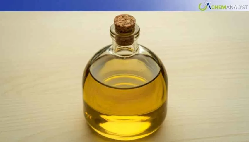 Germany Tallow Oil Prices Rally 58.7% MoM Amid Supply Tightness