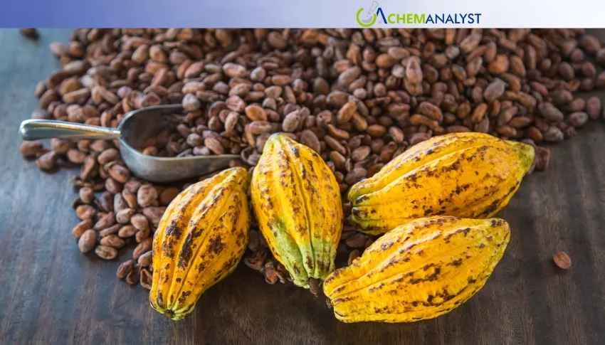 Ghana Cocoa Export Prices Extend Rally in May 2026 Amid Tight Supply and Strong Global Buying