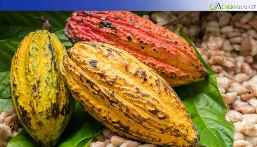 Ghana Cocoa Prices Fall 18.24% in January 2026 amid Licencing Related Issues