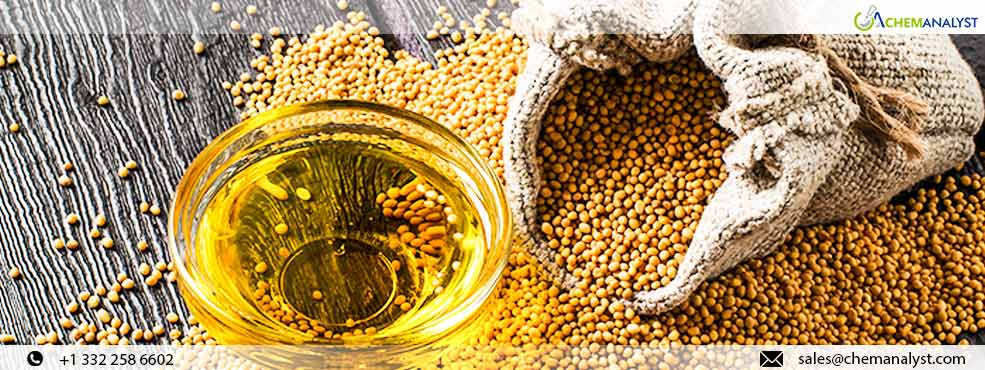 Global Mustard Oil Prices are Expected to Surge in Q2 2024: Factors Driving the Increase