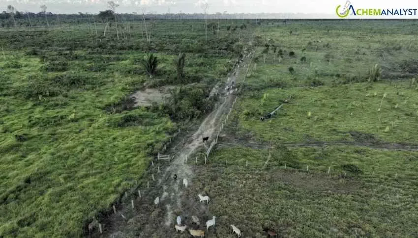 HRW Urges EU to Reject Changes Weakening Deforestation Law