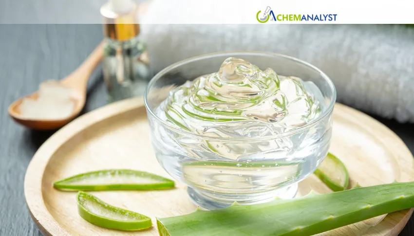 India Aloe Vera Market Expected to Remain Stable in July 2026 After Sharp June Decline