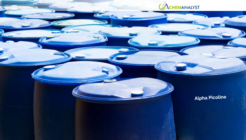 India Alpha Picoline Prices Slip 8.99% Amid Comfortable Inventories and Soft Demand