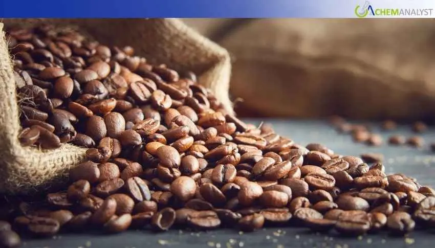 India Coffee Prices Fall 4.65% in January on Post-Harvest Supply Surge