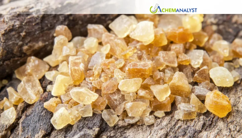 India Ester Gum Market Remains Bullish Amid Elevated Feedstock Costs and Supply Constraints