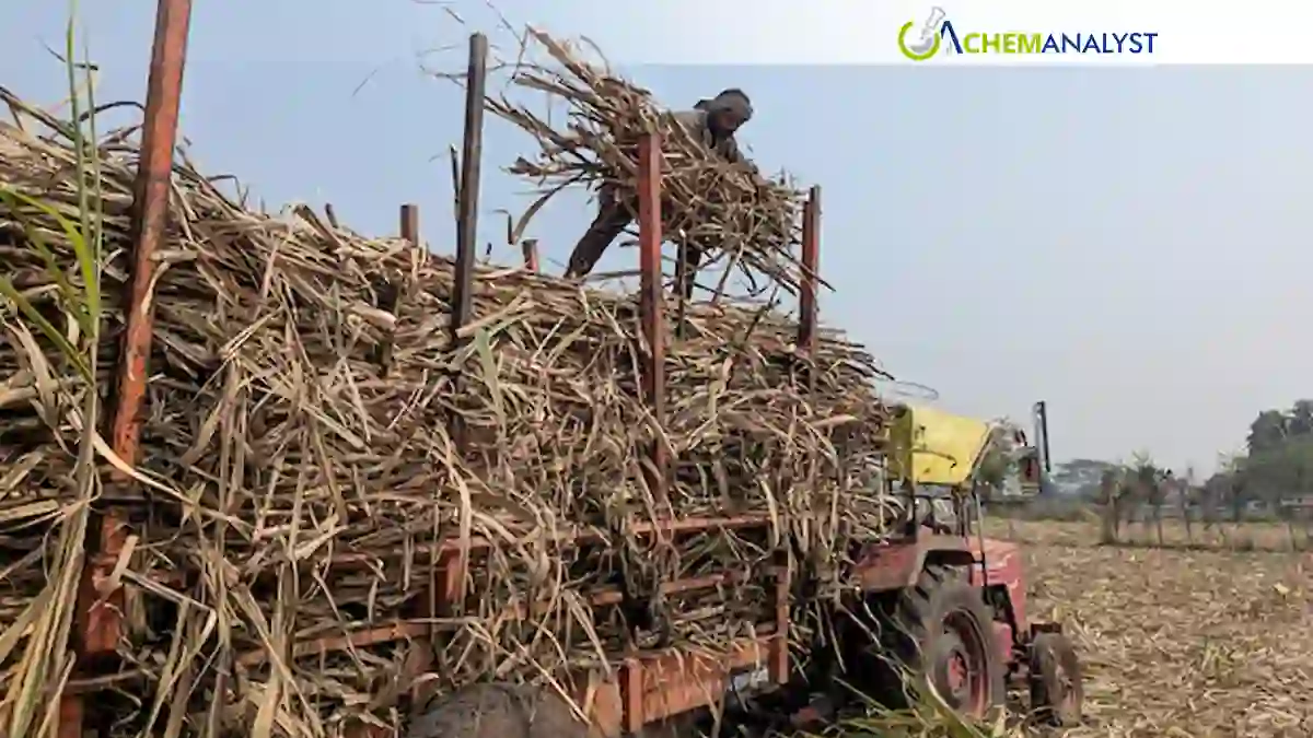 India May Cut Cane Ethanol Use as Sugar Prices Hit Record High