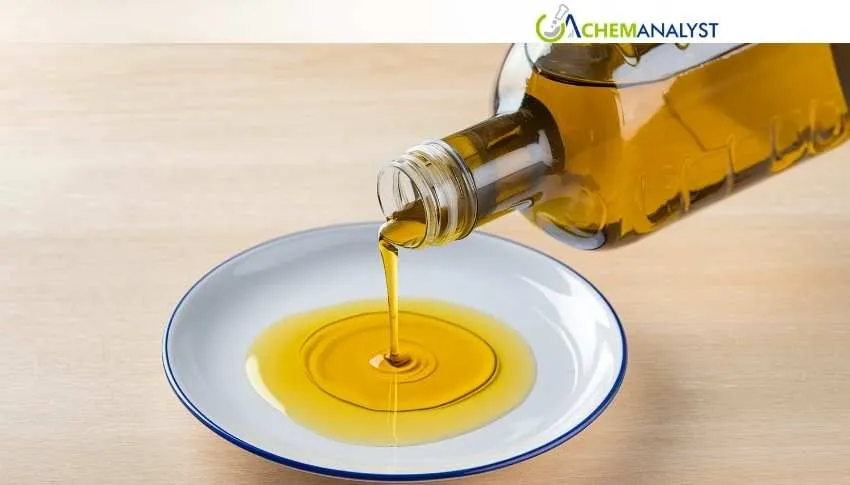 India Mustard oil Prices Rebound in May 2026 Amid Stronger Demand and Export Recovery
