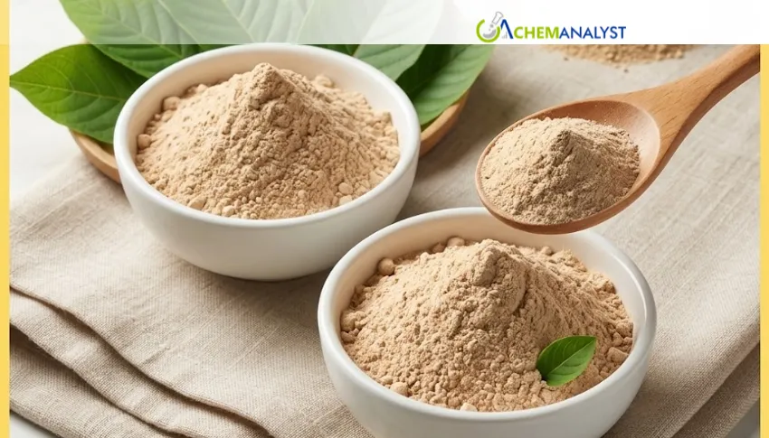 India Tara Gum Market Climbs on Strong Food Demand and Limited Origin Availability
