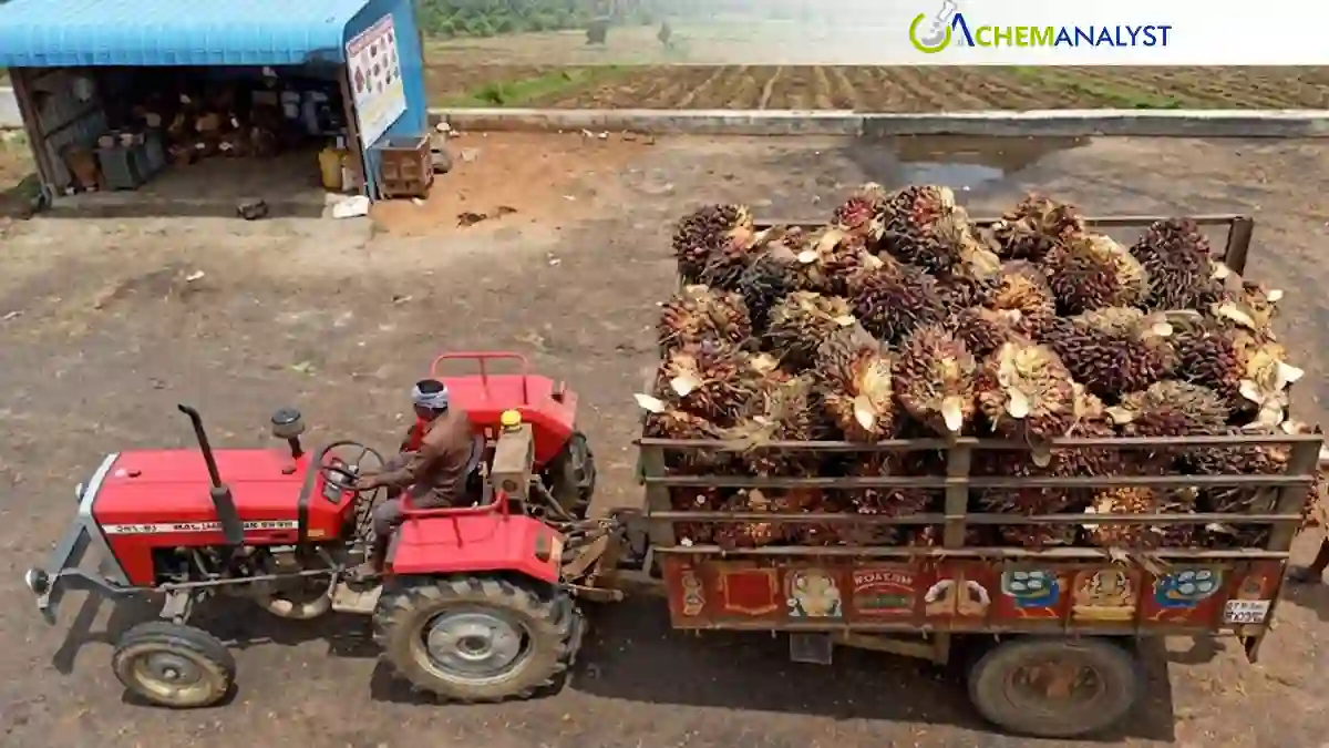 India's Palm Oil Imports Slump to 14-Month Low