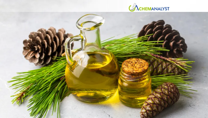 India's Pine Oil Prices Ease as Import Availability Improves in July
