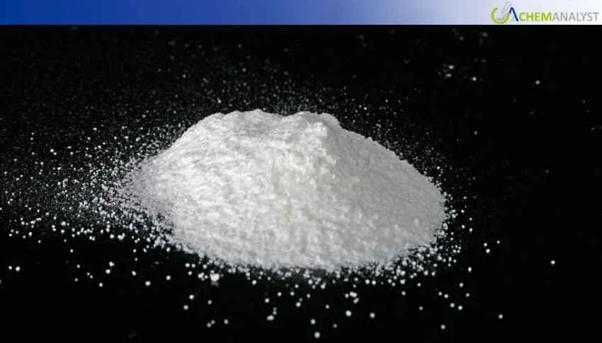 India’s Sorbitan Monostearate Prices Slide 3% in January Amid Soft Seasonal Demand