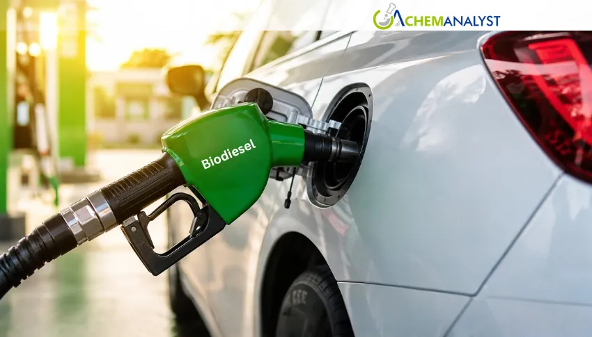Indonesia Rolls Out B50 Biodiesel Mandate, Reshaping Global Palm Oil and Energy Markets