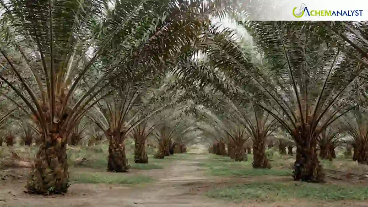 Indonesia Tightens Export Controls, Sending Palm Oil and Coal Stocks Lower