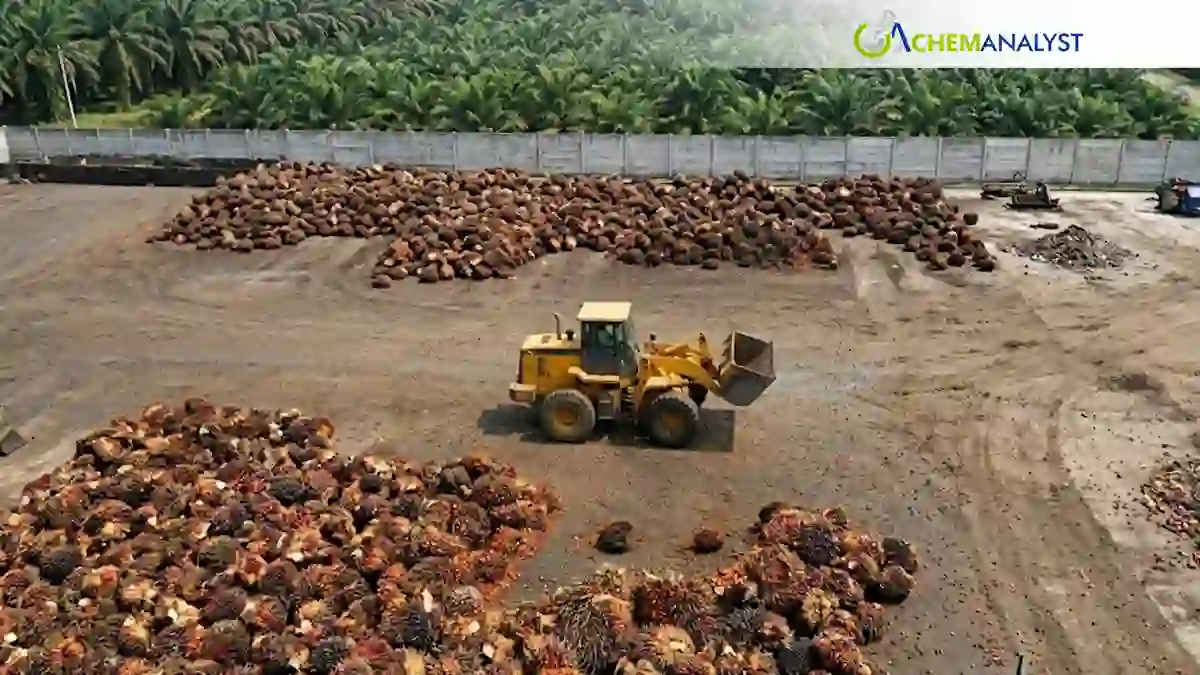 Indonesia’s Palm Oil Export Controls Set to Reshape Global Food Supply Chains and Commodity Markets