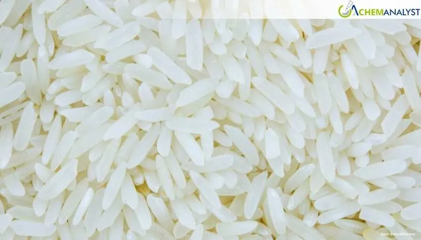 Iraq Exits Thai Rice Market Amid Strait of Hormuz Disruptions