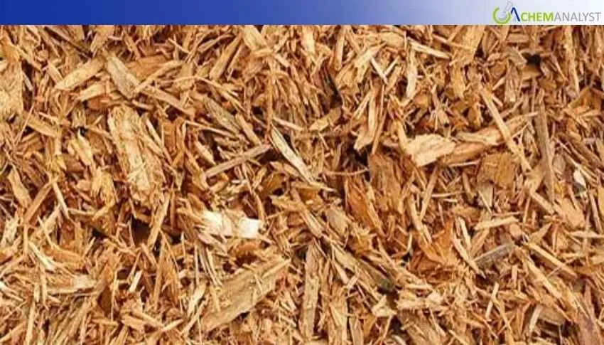 Is the West Asia Conflict Pushing India’s Wood Pulp Market into Crisis?